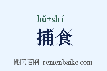 捕食是什么意思的图片